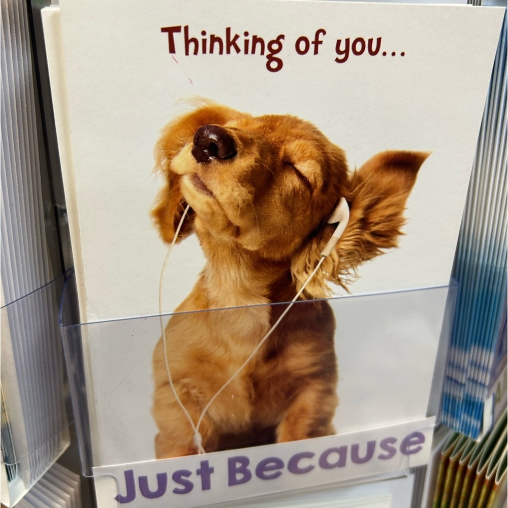 Meet your Posher, Jorge